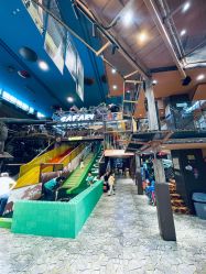 -卡通尼·Safari非洲探索乐园·生日会(金桥国际商业广场店)