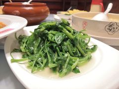 豌豆尖-石屏会馆