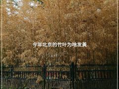 -丰台花园