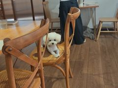 -沏点Trattoria意大利餐厅(新街口店)