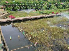 -同銮特种养殖场·龙虾垂钓