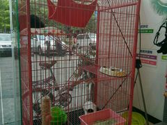 -创凡宠物医院·骨专科  猫科中心(西乡分院)