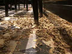 -Long Bar(莱佛士酒店)