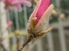 -国家植物园南园