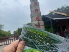 -中国扬子鳄村
