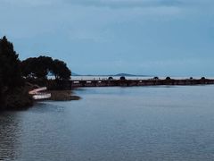 -贡湖湾湿地公园