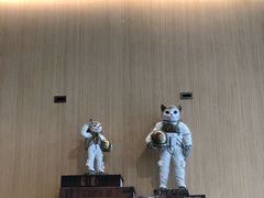 -飞行喵MR PILOT|猫舍·猫咖(静安大融城店)