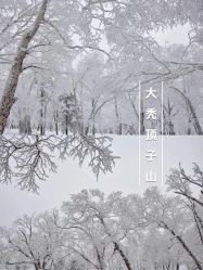 -大秃顶子山