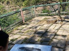 -方岩风景区