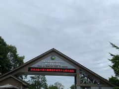 -中国大熊猫保护研究中心雅安碧峰峡基地