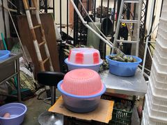 -金太粽(上海弄堂第一粽店)