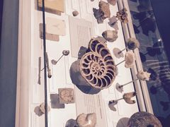-墨尔本博物馆(Melbourne Museum)