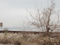 -海堤纪念公园