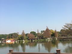 -海珠湖公园