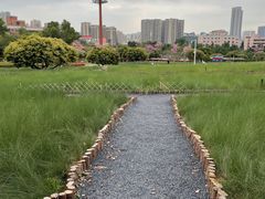 -红花山公园