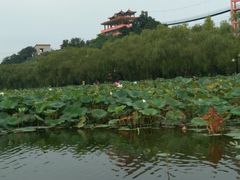 -南戴河国际娱乐中心