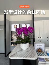 -YESIDO椰岛造型烫发染发