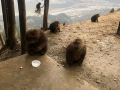 -太阳湾风景区