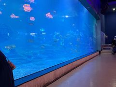 -福州罗源湾海洋世界旅游区