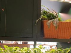 -织荆鸟咖啡(昌平店)