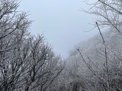 -妙峰山风景名胜区