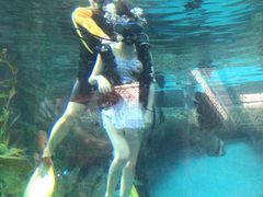 -波塞冬旅游度假区