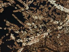 -裕龙汤泉