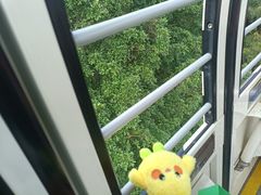 -广州长隆野生动物世界
