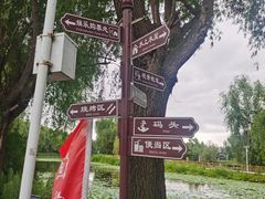 -白渔泡湿地公园