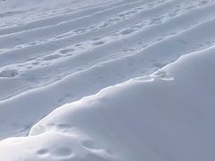 -蓟县盘山滑雪场