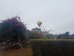 -中国科学院西双版纳热带植物园