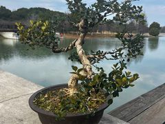 -苏州东太湖生态园