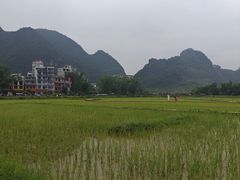 -靖西鹅泉风景区