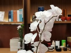 -二酉书店TOYOU BOOKS