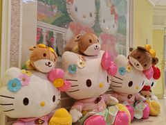 -杭州Hello Kitty乐园