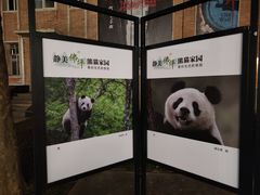 -西安电影制片厂