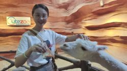 -酷嗒动物文化乐园(cutezoo西溪乐天城店)