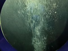 -洛阳龙门海洋馆