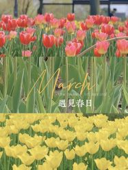-玄武湖景区-情侣园游乐场