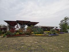 -上海长兴岛郊野公园