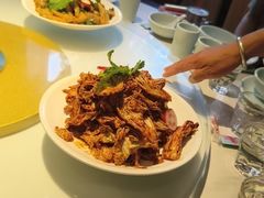 -新侨小馆(东直门北小街店)