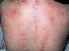 -鸿远足浴·瑜伽按摩·养生Spa旗舰店