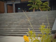 -银雀山汉墓竹简博物馆