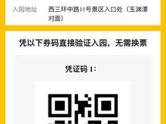 -中央广播电视塔