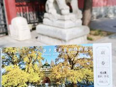门面-北京石刻艺术博物馆(五塔寺)
