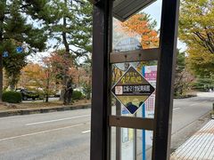 -金泽21世纪美术馆