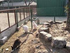 -无锡动物园·太湖欢乐园