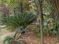 -咸宁万豪温泉谷度假区