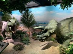 -国家自然博物馆