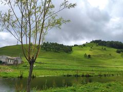 -关山草原